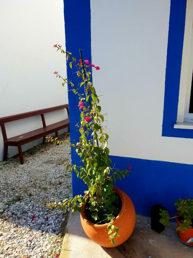 Vila Casa Do Avo To Reguengos de Monsaraz Exteriér fotografie
