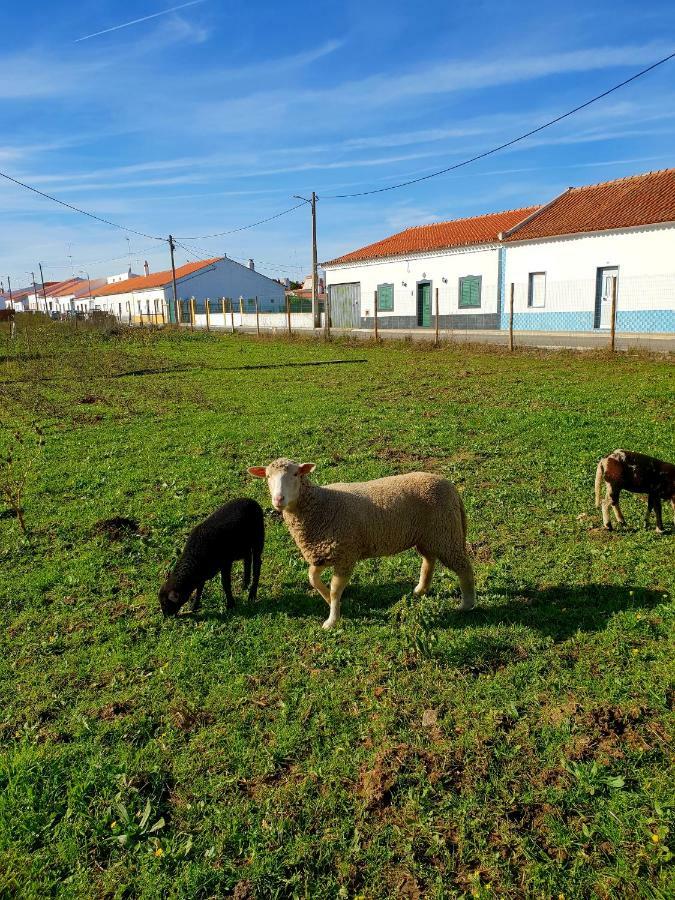Vila Casa Do Avo To Reguengos de Monsaraz Exteriér fotografie